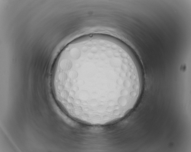 X0000112501525200909071233