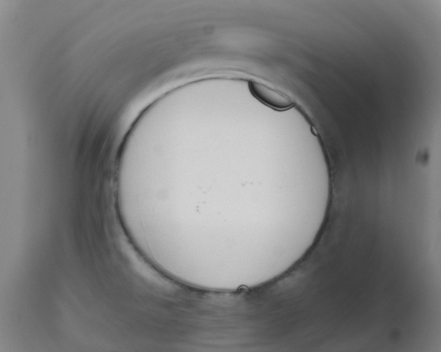 X0000112501526200909071233