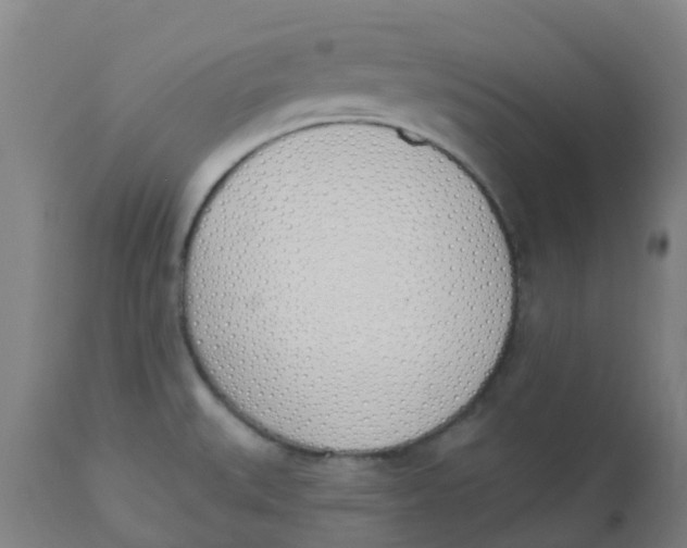 X0000112501527200909071233