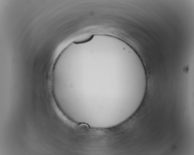 X0000112501528200909071233