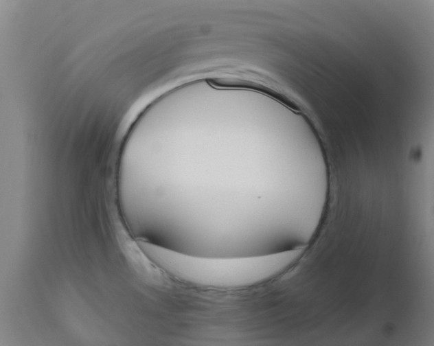 X0000112501530200909071233