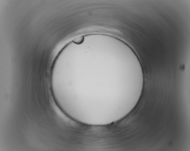 X0000112501531200909071233