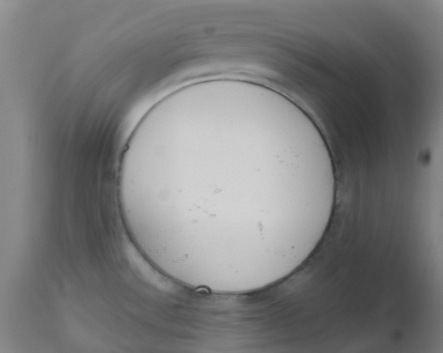 X0000112501532200909071233