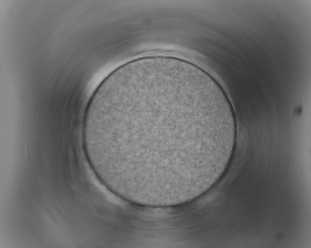 X0000112501533200909071233