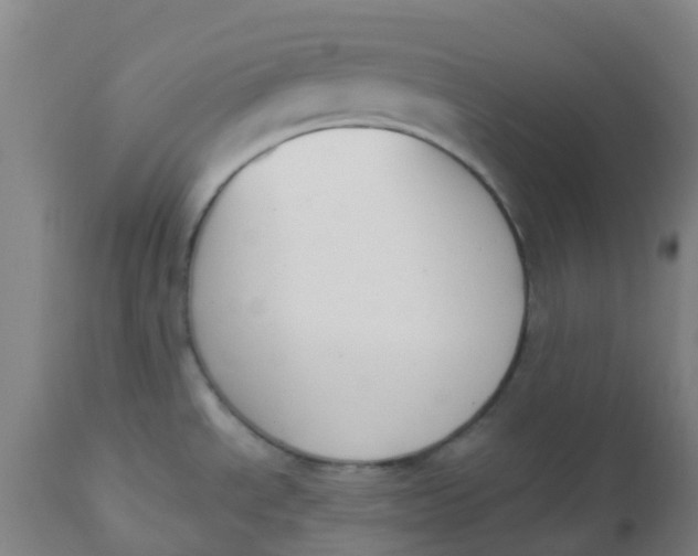 X0000112501534200909071233