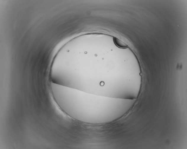 X0000112501536200909071233