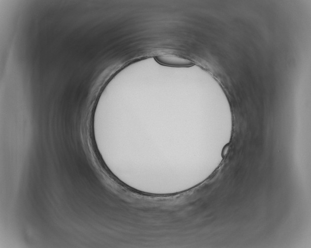 X0000112500001200909141233