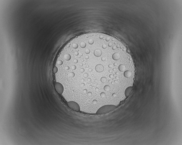 X0000112500002200909141233