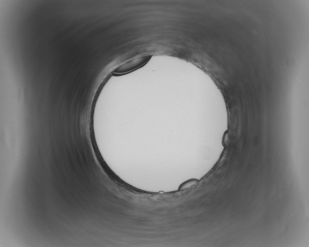 X0000112500003200909141233