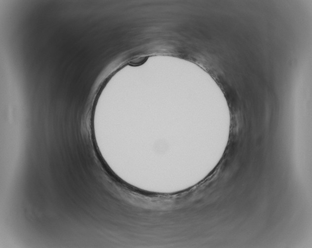 X0000112500004200909141233