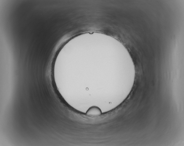 X0000112500006200909141233