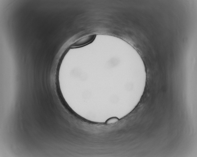 X0000112500007200909141233