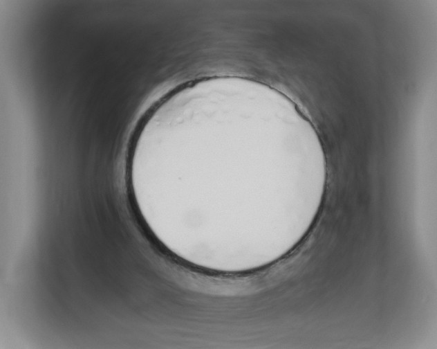 X0000112500008200909141233