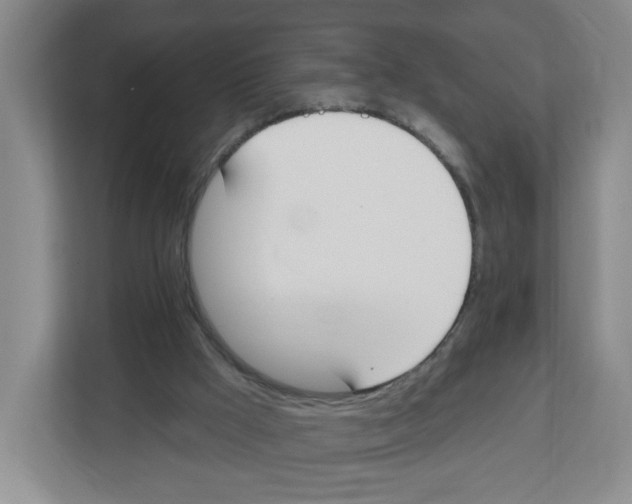 X0000112500009200909141233