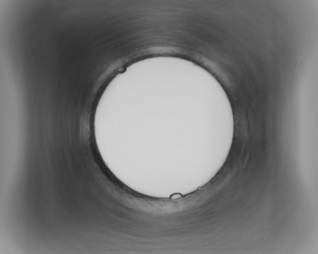 X0000112500015200909141233