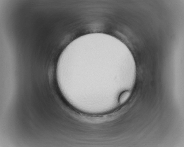 X0000112500018200909141233