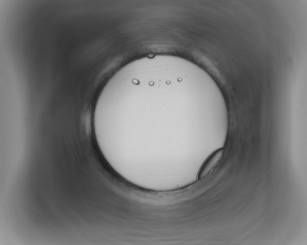 X0000112500019200909141233