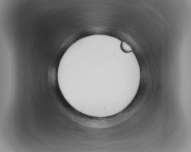 X0000112500024200909141233