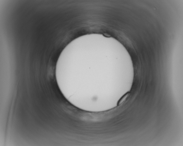 X0000112500033200909141233