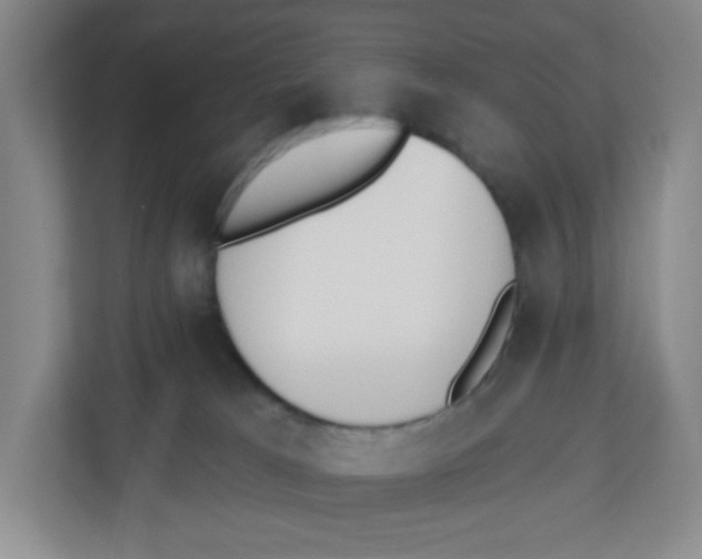 X0000112500037200909141233