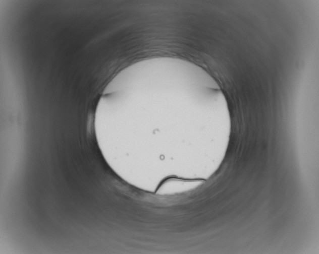 X0000112500041200909141233