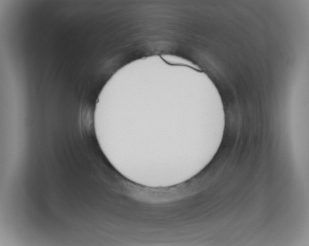 X0000112500042200909141233