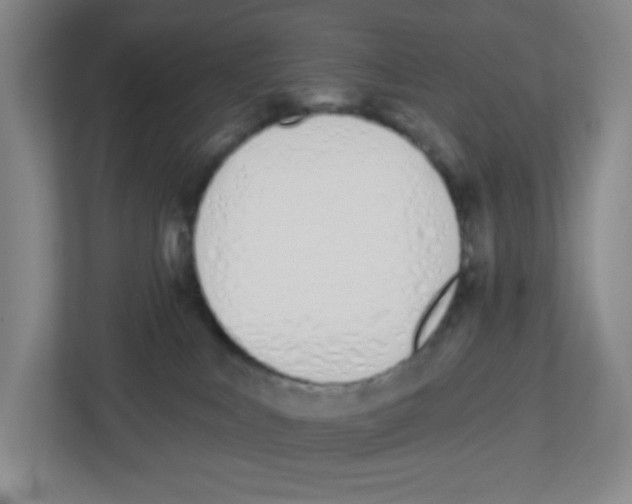 X0000112500043200909141233