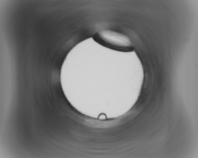 X0000112500048200909141233