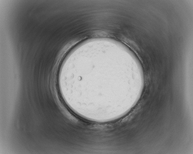 X0000112500049200909141232