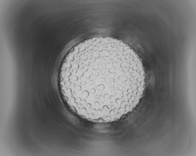 X0000112500051200909141232