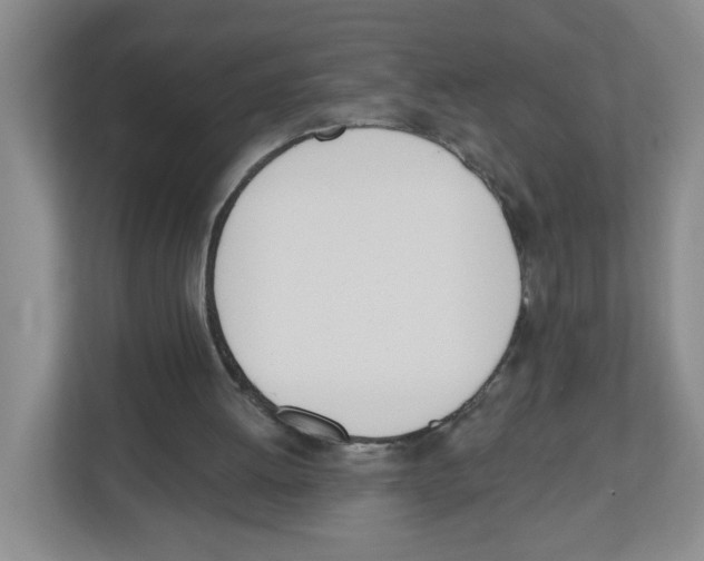 X0000112500052200909141232