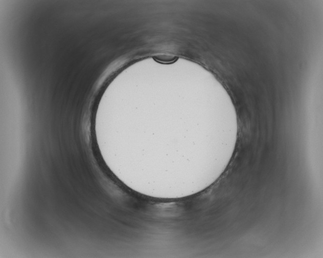 X0000112500054200909141232