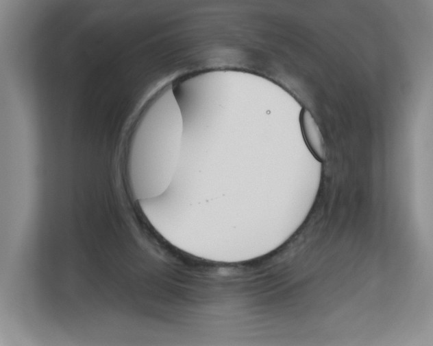 X0000112500060200909141232