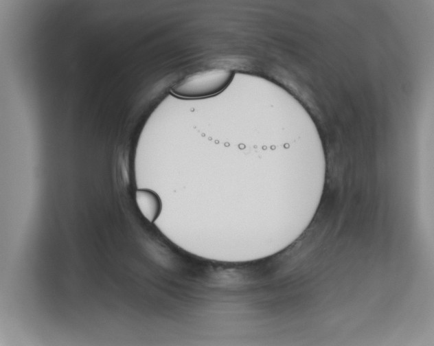 X0000112500062200909141232