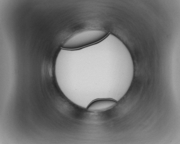 X0000112500068200909141232