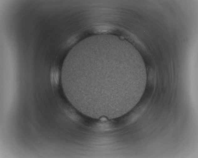 X0000112500076200909141232