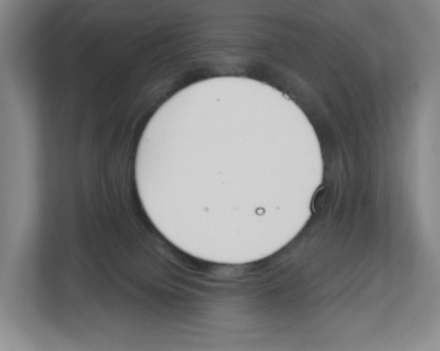 X0000112500084200909141232