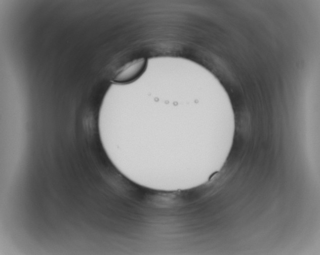 X0000112500086200909141232