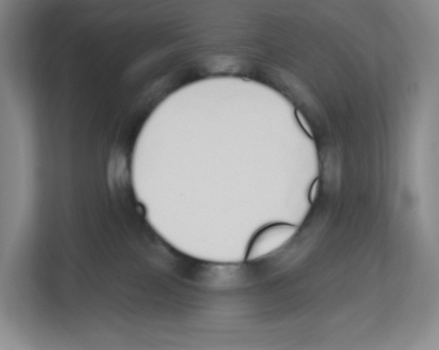 X0000112500089200909141233