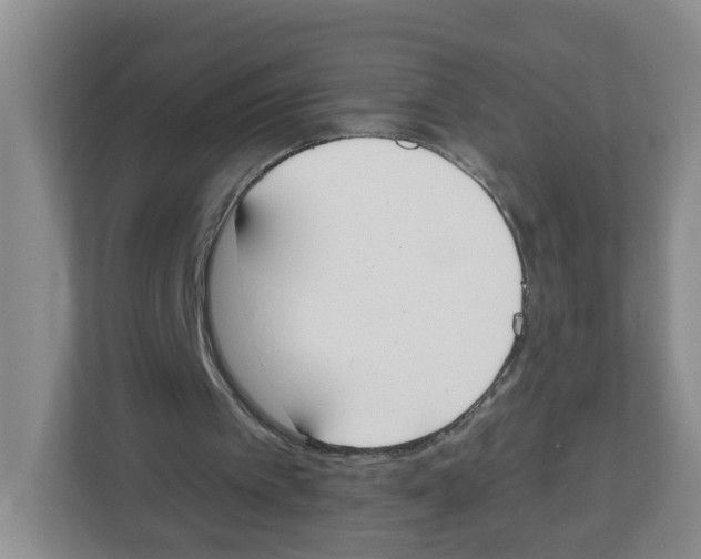 X0000112500097200909141232