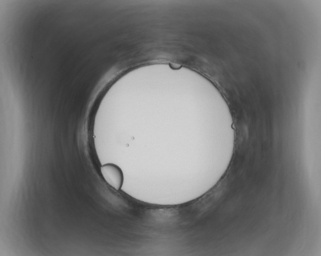 X0000112500102200909141232