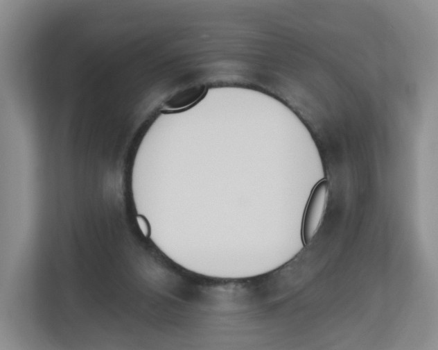 X0000112500112200909141232