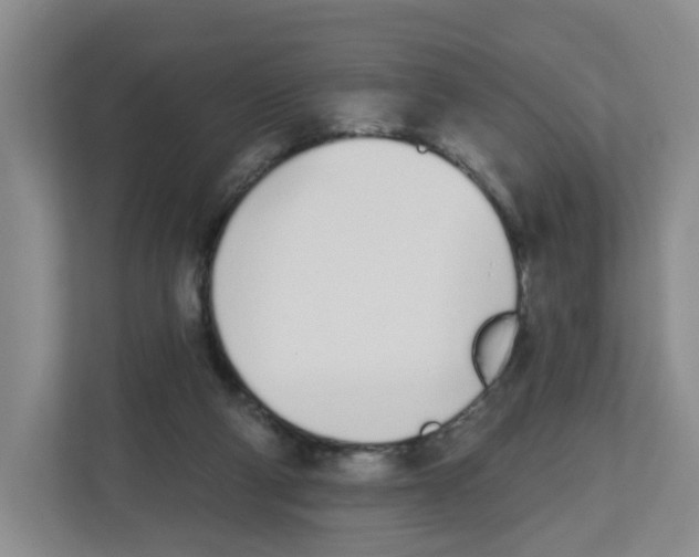 X0000112500114200909141232