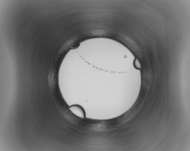 X0000112500116200909141232