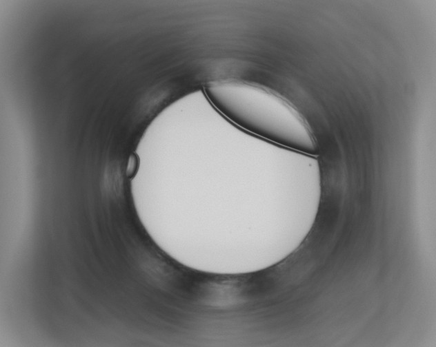 X0000112500120200909141232