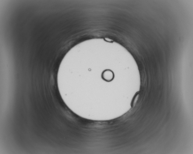 X0000112500128200909141232