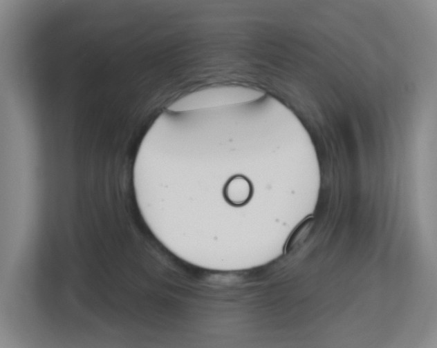 X0000112500133200909141232