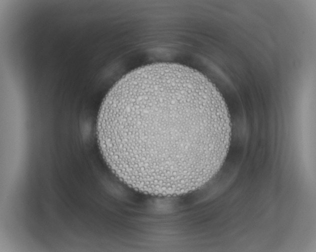 X0000112500134200909141232