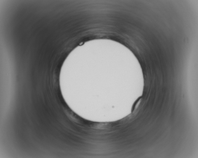 X0000112500136200909141231