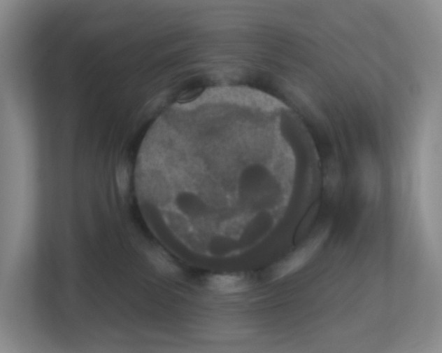 X0000112500139200909141231